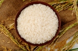 rice premix